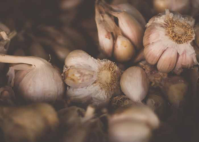 Prebiotics Explained