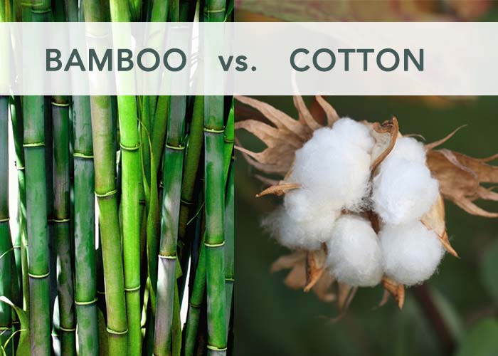 Is Bamboo A Healthy Alternative to Cotton?