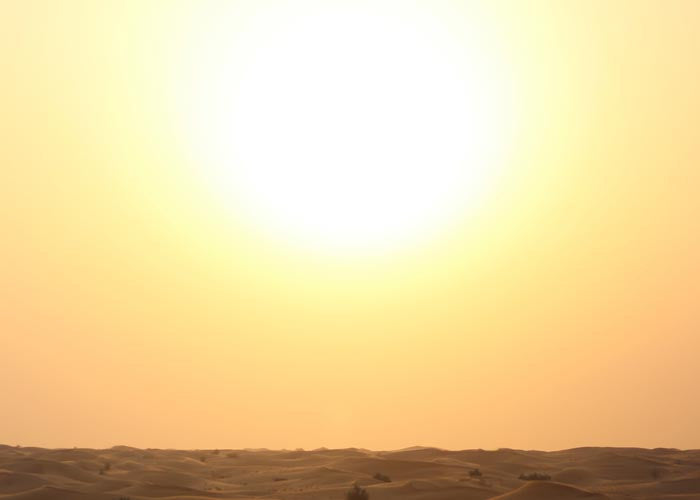 A Little Clarity on Vitamin D