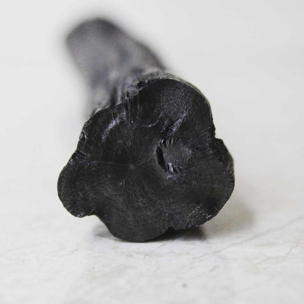 BINCHOTAN CHARCOAL CHUNKS - Natural Water & Air Purifier (4 oz)